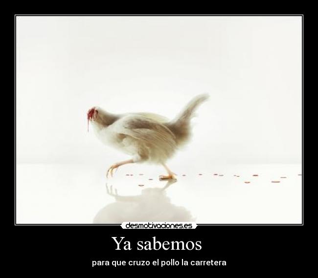 Ya sabemos - para que cruzo el pollo la carretera