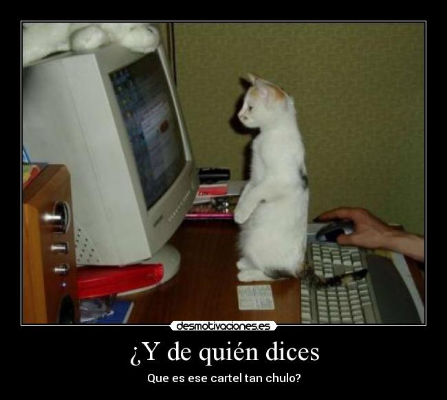 carteles cartel chulo gatosordenador desmotivaciones