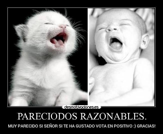 PARECIODOS RAZONABLES. -