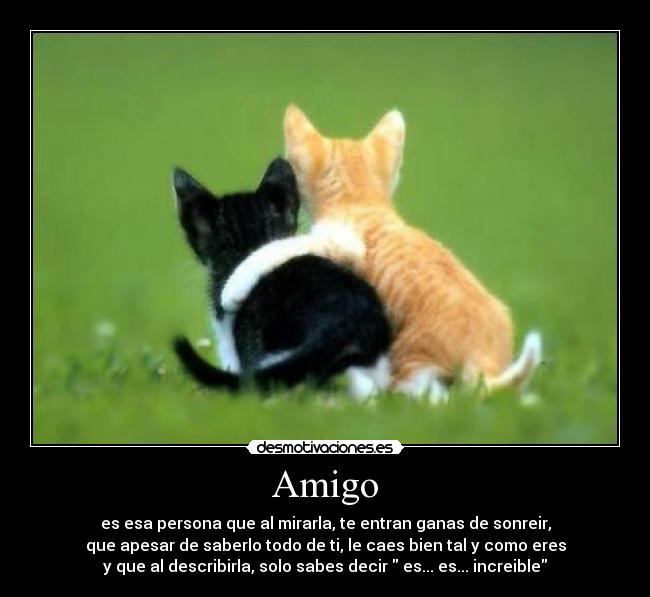 Amigo - 