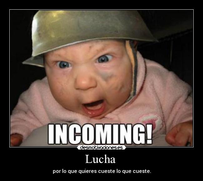 Lucha  - 