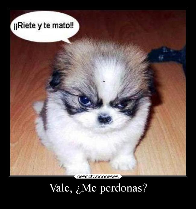 Vale, ¿Me perdonas? - 