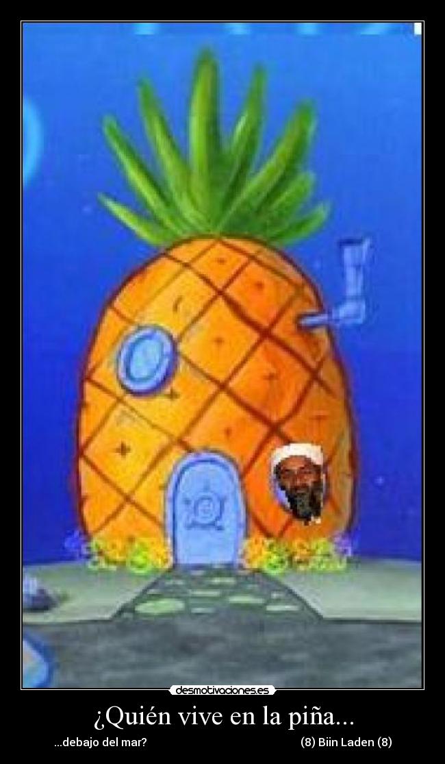 carteles bin laden desmotivaciones