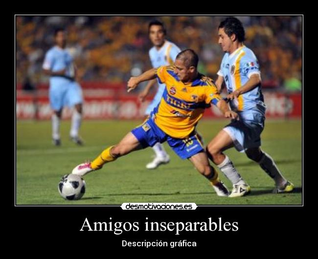 Amigos inseparables - Descripción gráfica