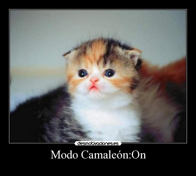 Modo Camaleón:On - 