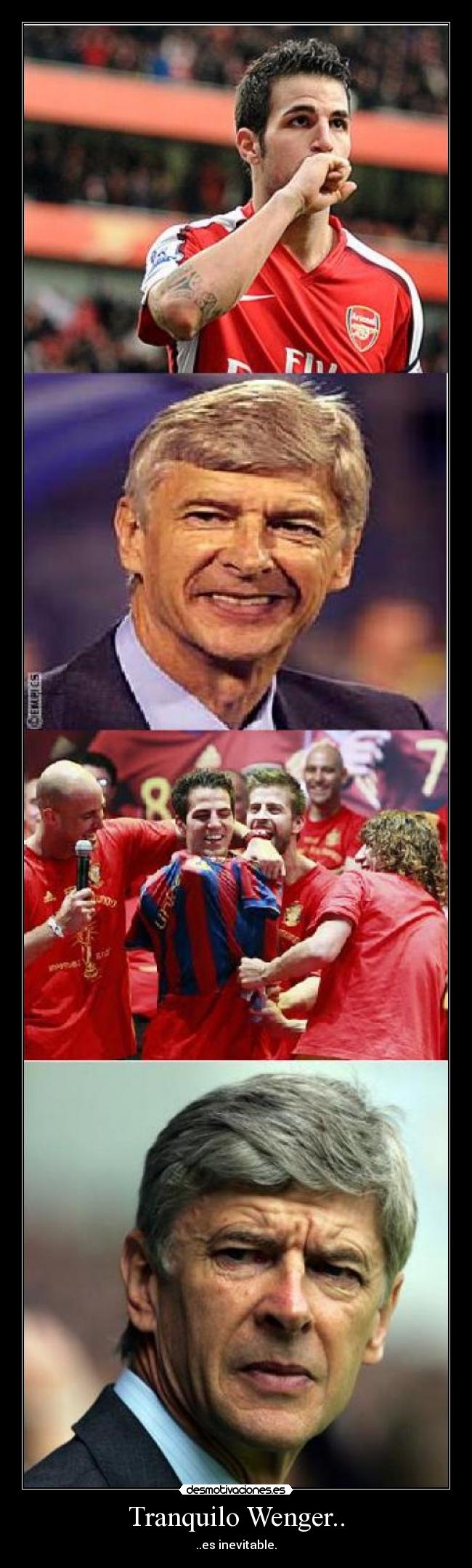 Tranquilo Wenger.. - ..es inevitable.