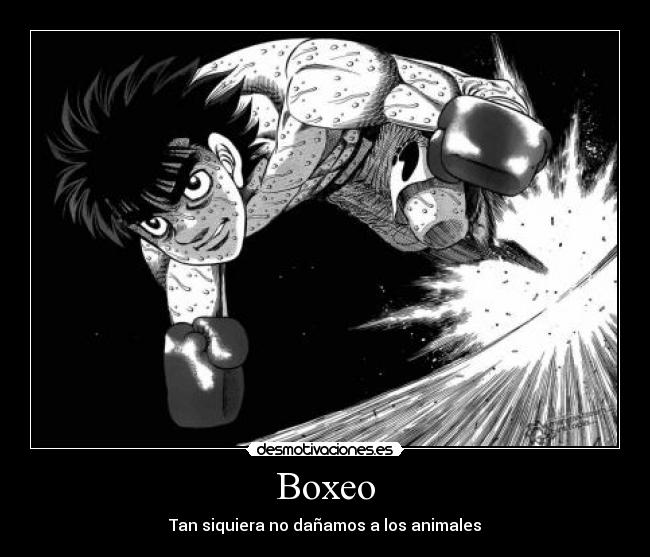 carteles ratapollo desmotivaciones