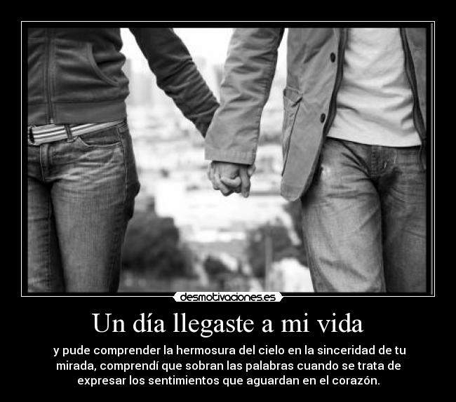 Un día llegaste a mi vida - 
