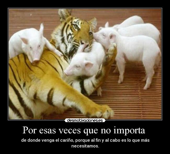 Por esas veces que no importa - de donde venga el cariño, porque al fin y al cabo es lo que más necesitamos.