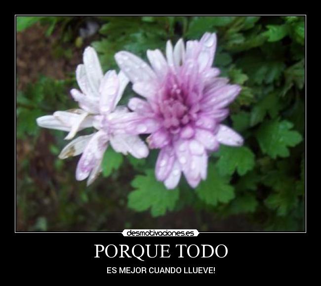 PORQUE TODO - ES MEJOR CUANDO LLUEVE!