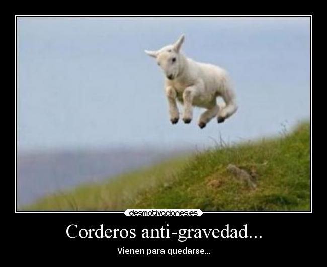 Corderos anti-gravedad... - 