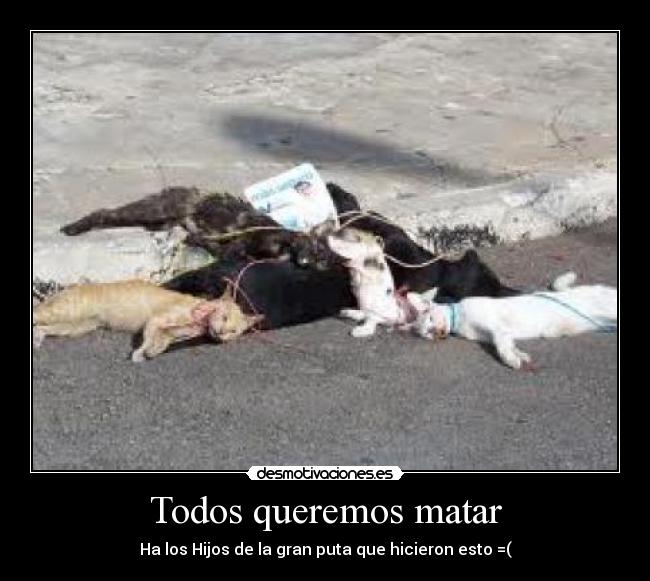 Todos queremos matar - 