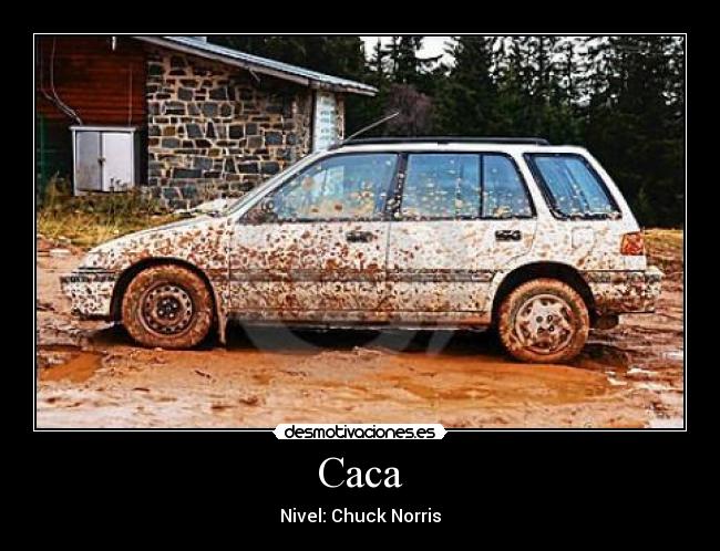 Caca - Nivel: Chuck Norris