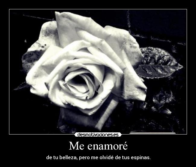 Me enamoré - 