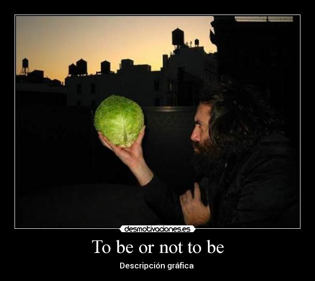 To be or not to be - Descripción gráfica