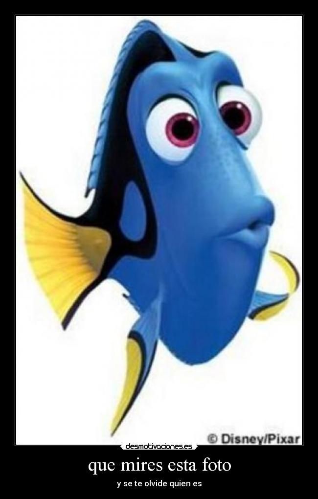 que mires esta foto -