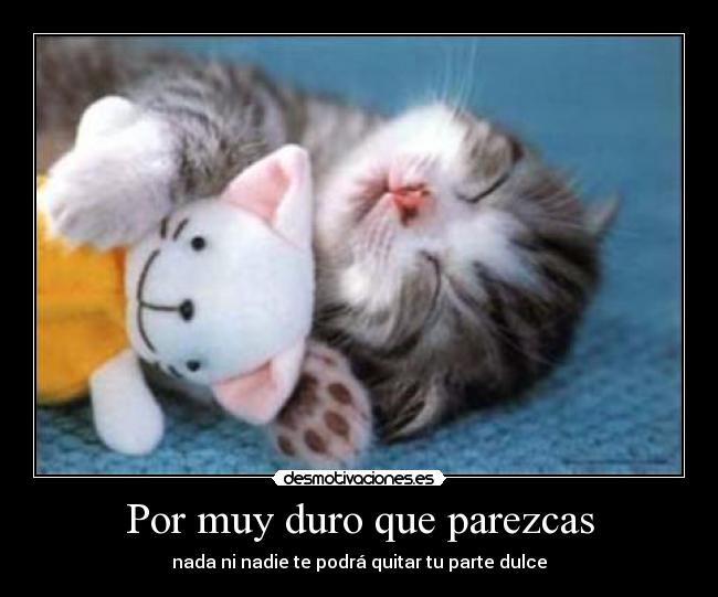 Por muy duro que parezcas -