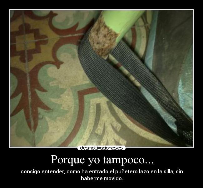 Porque yo tampoco... -