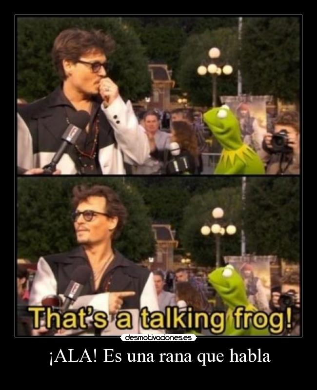 ¡ALA! Es una rana que habla -