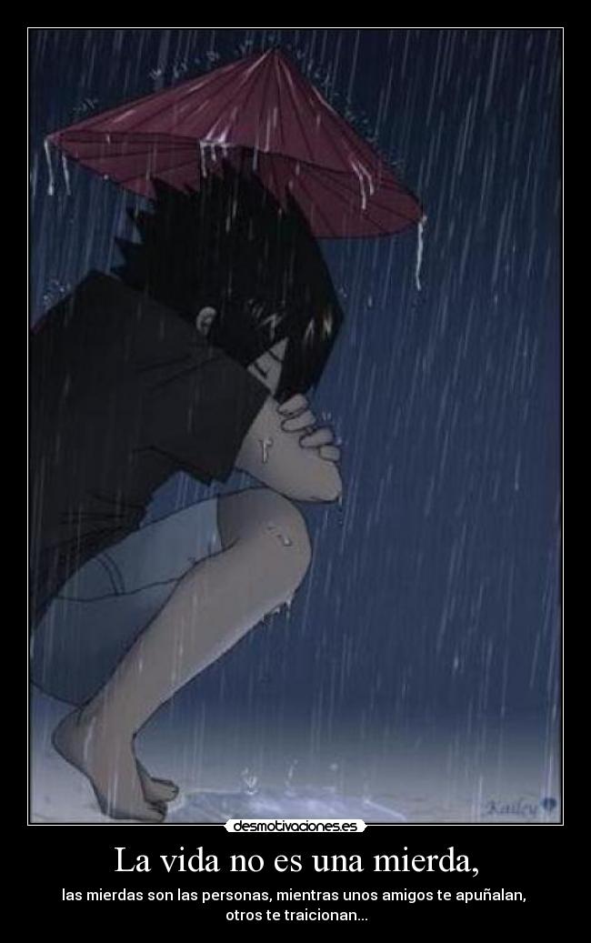 carteles vida amigosfalsos mierda personas desmotivaciones