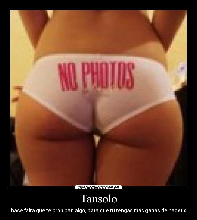 Tansolo - 