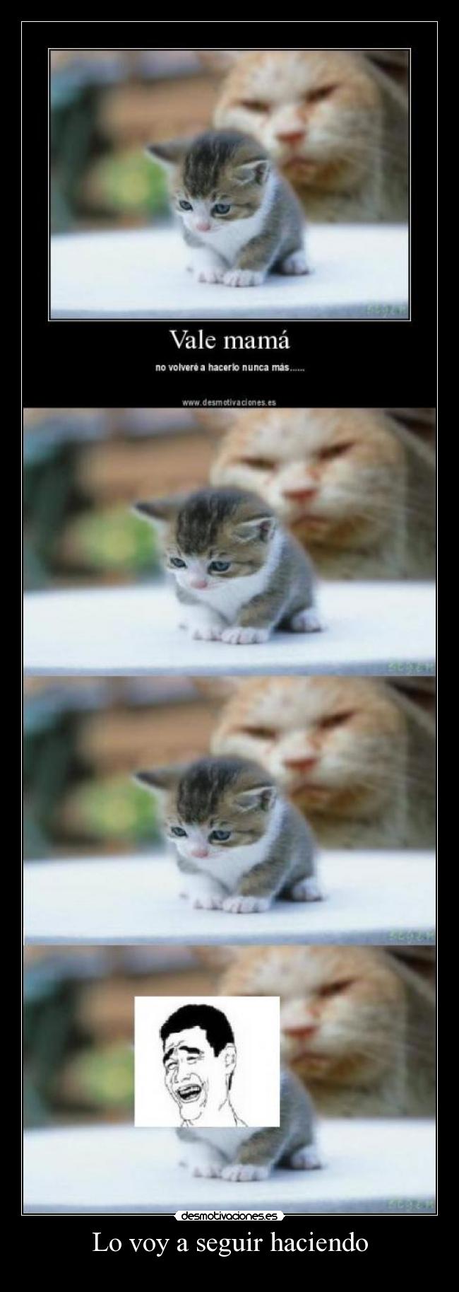 Lo voy a seguir haciendo -