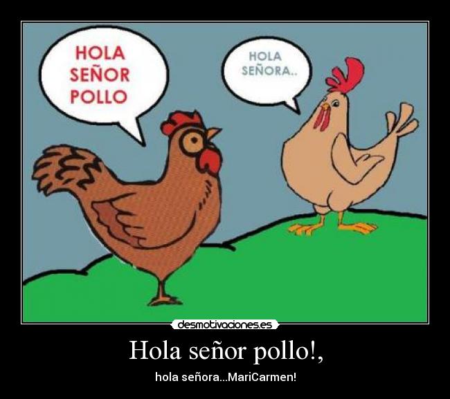 Hola señor pollo!, - 