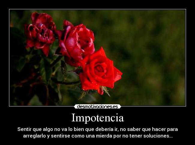 Impotencia - Sentir que algo no va lo bien que debería ir, no saber que hacer para
arreglarlo y sentirse como una mierda por no tener soluciones...