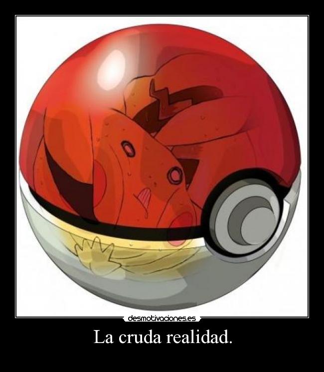 La cruda realidad. -