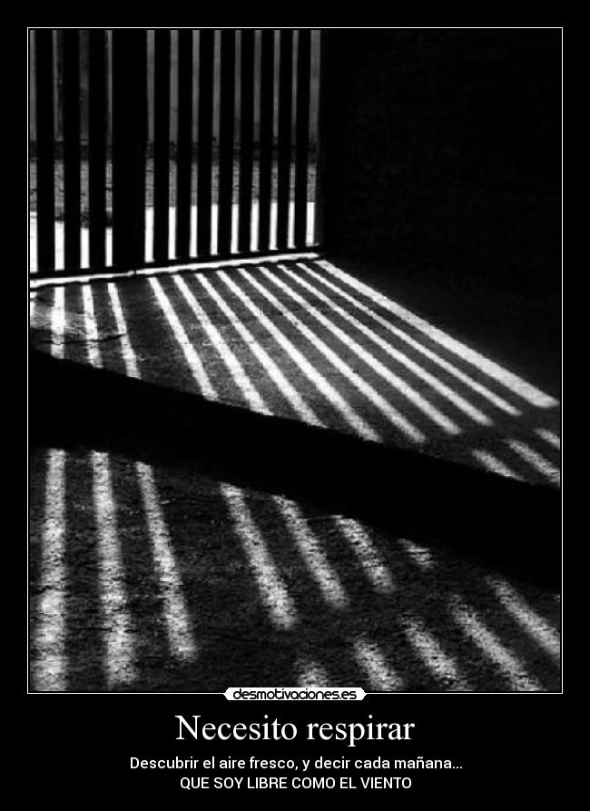 carteles libre desmotivaciones