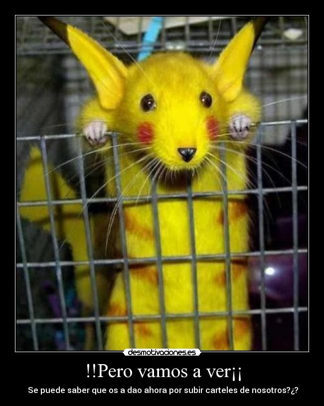 !!Pero vamos a ver¡¡ - Se puede saber que os a dao ahora por subir carteles de nosotros?¿?