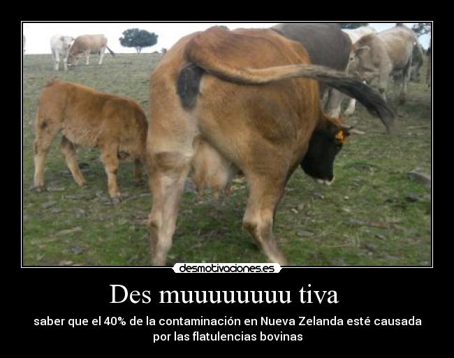 Des muuuuuuuu tiva -