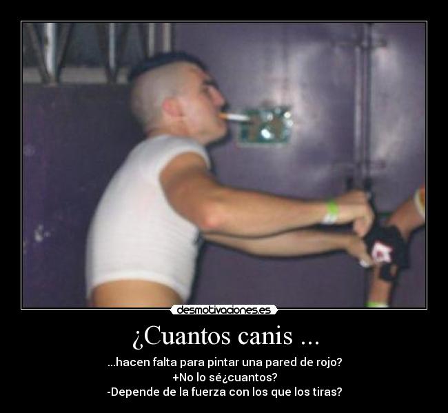 ¿Cuantos canis ... - ...hacen falta para pintar una pared de rojo?
+No lo sé¿cuantos?
-Depende de la fuerza con los que los tiras?
