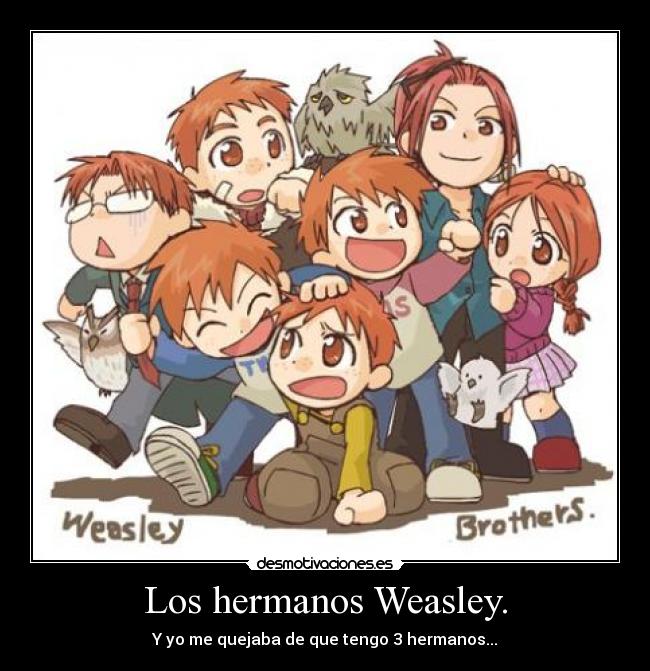 Los hermanos Weasley. -