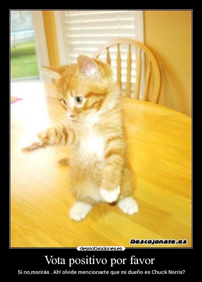Vota positivo por favor -