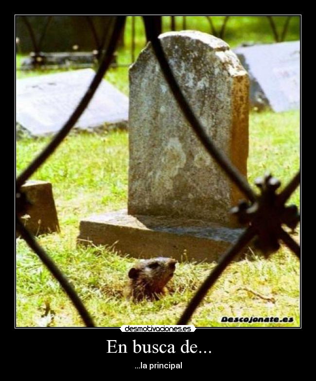 En busca de... - ...la principal