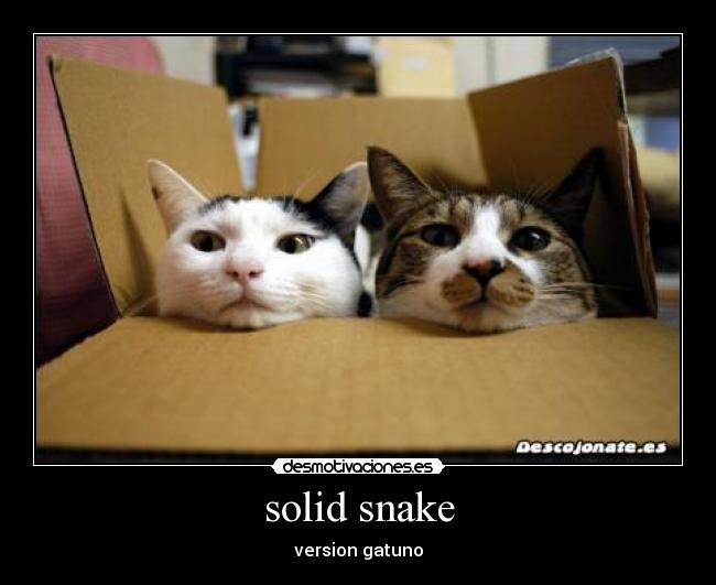 solid snake - version gatuno