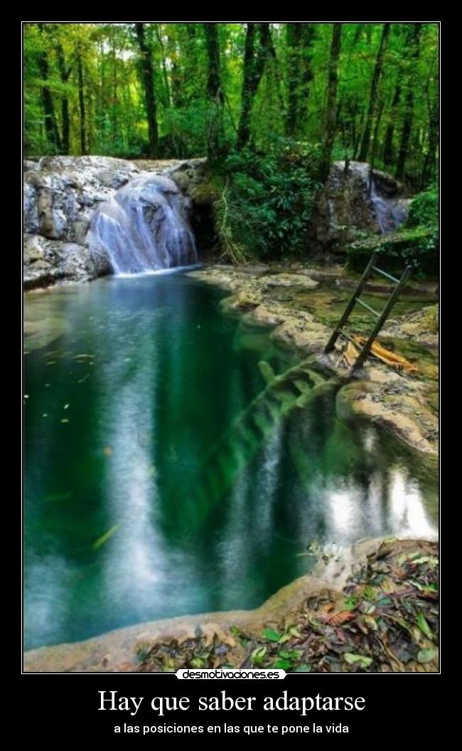 Hay que saber adaptarse - a las posiciones en las que te pone la vida