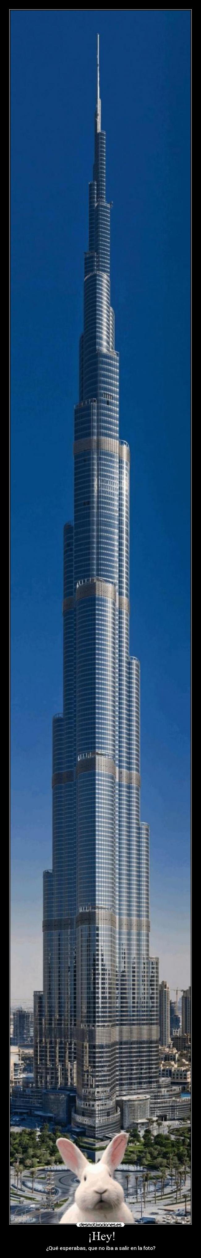 ¡Hey! - ¿Qué esperabas, que no iba a salir en la foto?