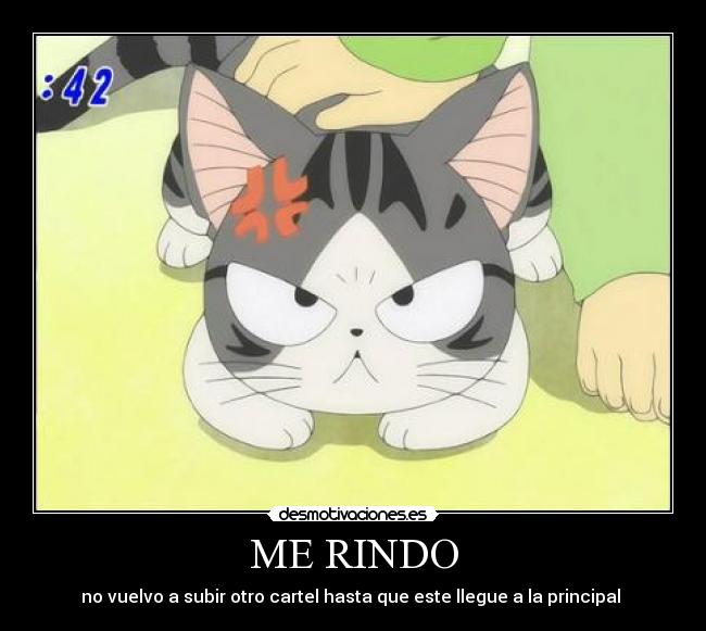 ME RINDO - 