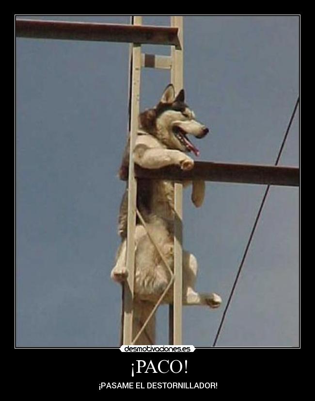 ¡PACO! - 