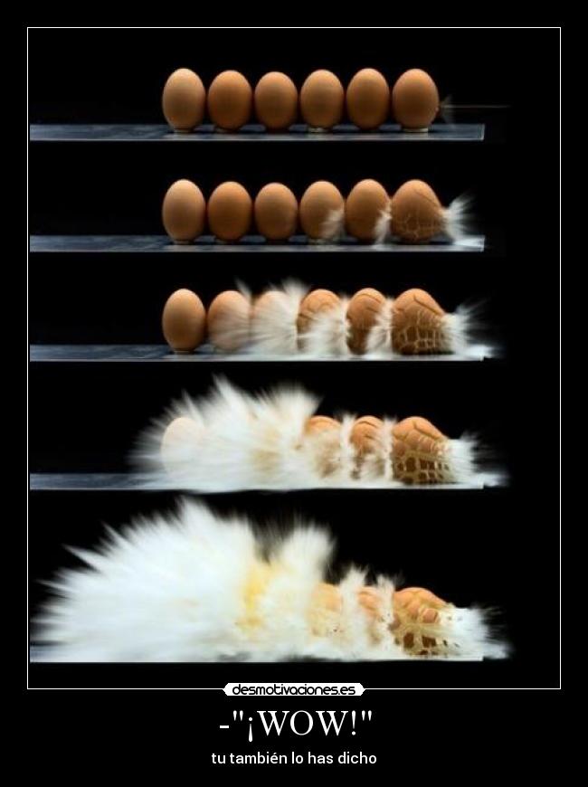 -¡WOW! -
