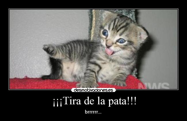 carteles sinparacaidas desmotivaciones