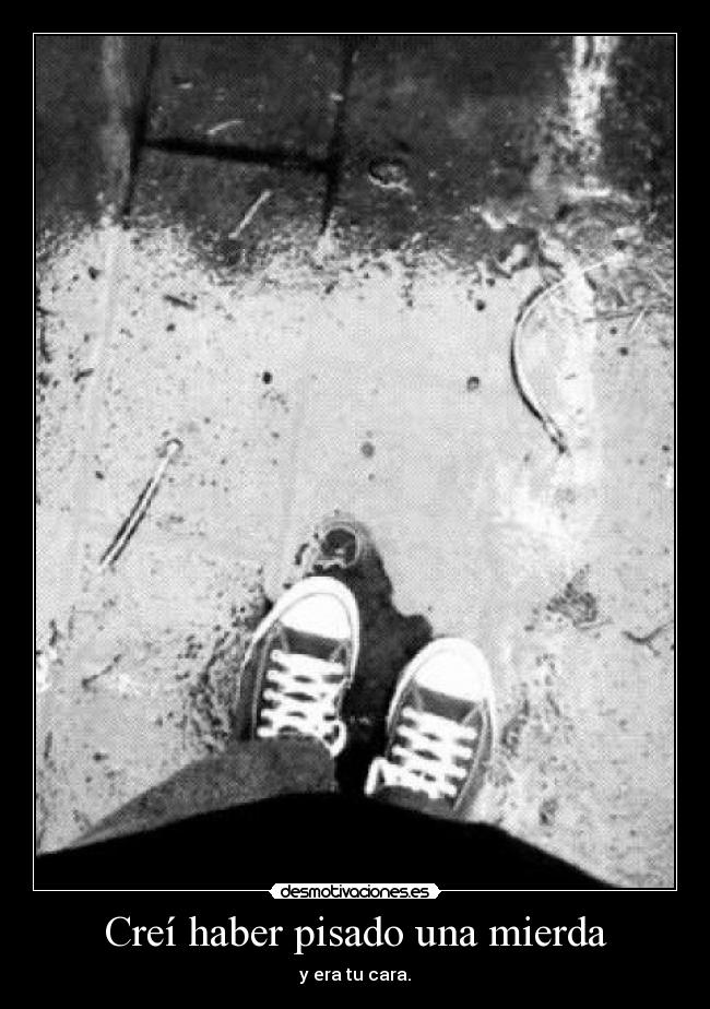Creí haber pisado una mierda - 