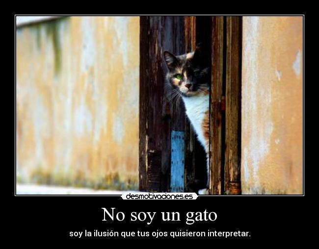 No soy un gato - soy la ilusión que tus ojos quisieron interpretar.