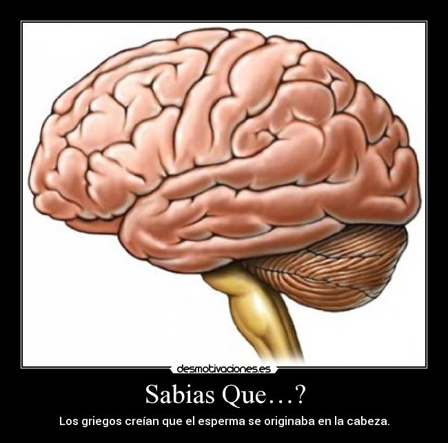 Sabias Que…? -