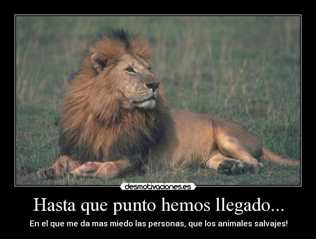 carteles cualquiera desmotivaciones