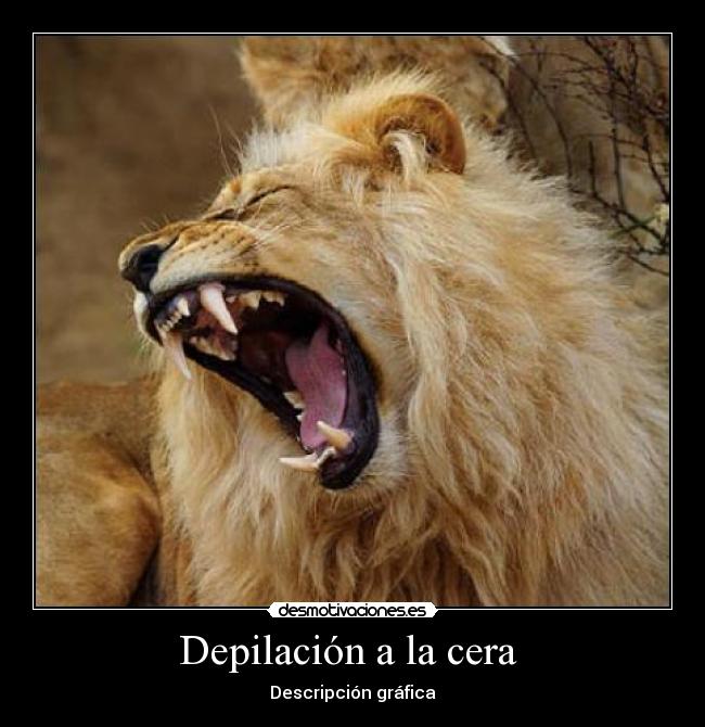 Depilación a la cera -