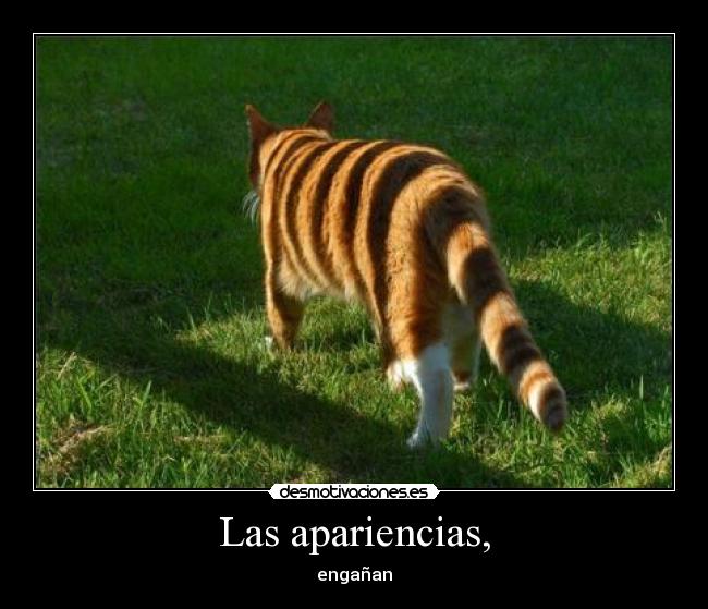 Las apariencias, - engañan