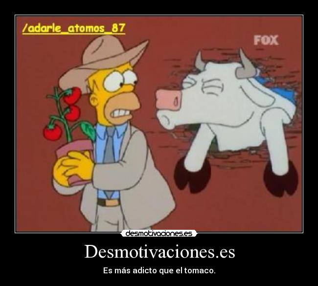 Desmotivaciones.es - Es más adicto que el tomaco.